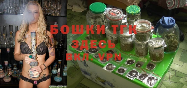первитин Киреевск